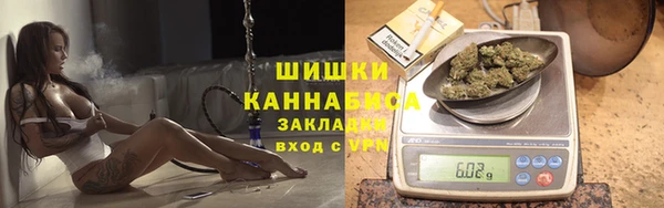ALPHA PVP Бородино