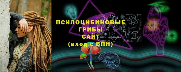 соль ск Бугульма