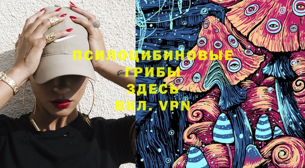 соль ск Бугульма