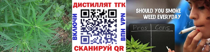 Купить где Аркадак Дистиллят ТГК концентрат