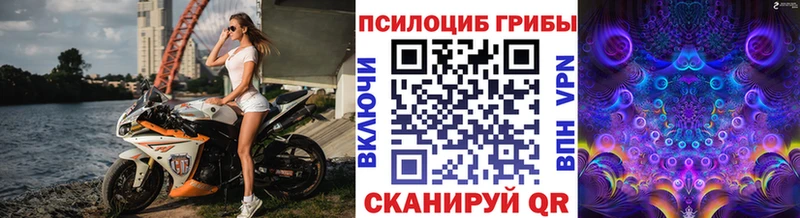 Галлюциногенные грибы Psilocybine cubensis Купить где Аркадак